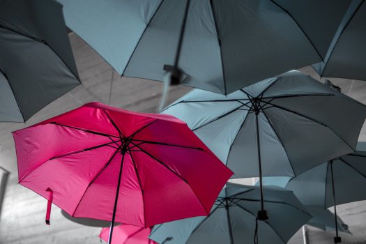 umbrellas, one pink